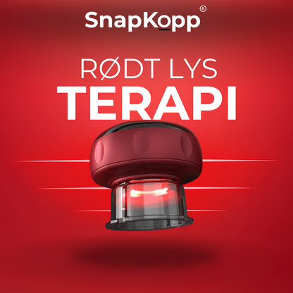 SnapKopp